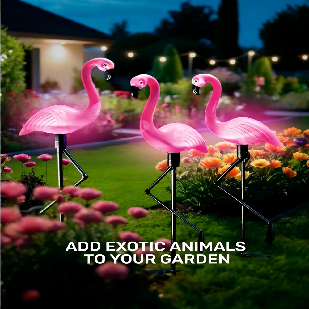 3Pcs Solar Powered Flamingo Gr - Outdoor Lighting Manufacturers のレビューと価格