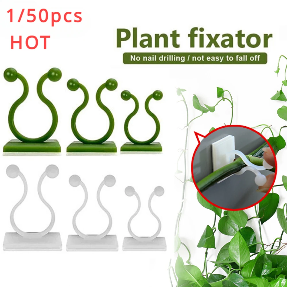 1/30/50Pcs For Garden Accsesor - Outdoor Lighting Manufacturers のレビューと価格
