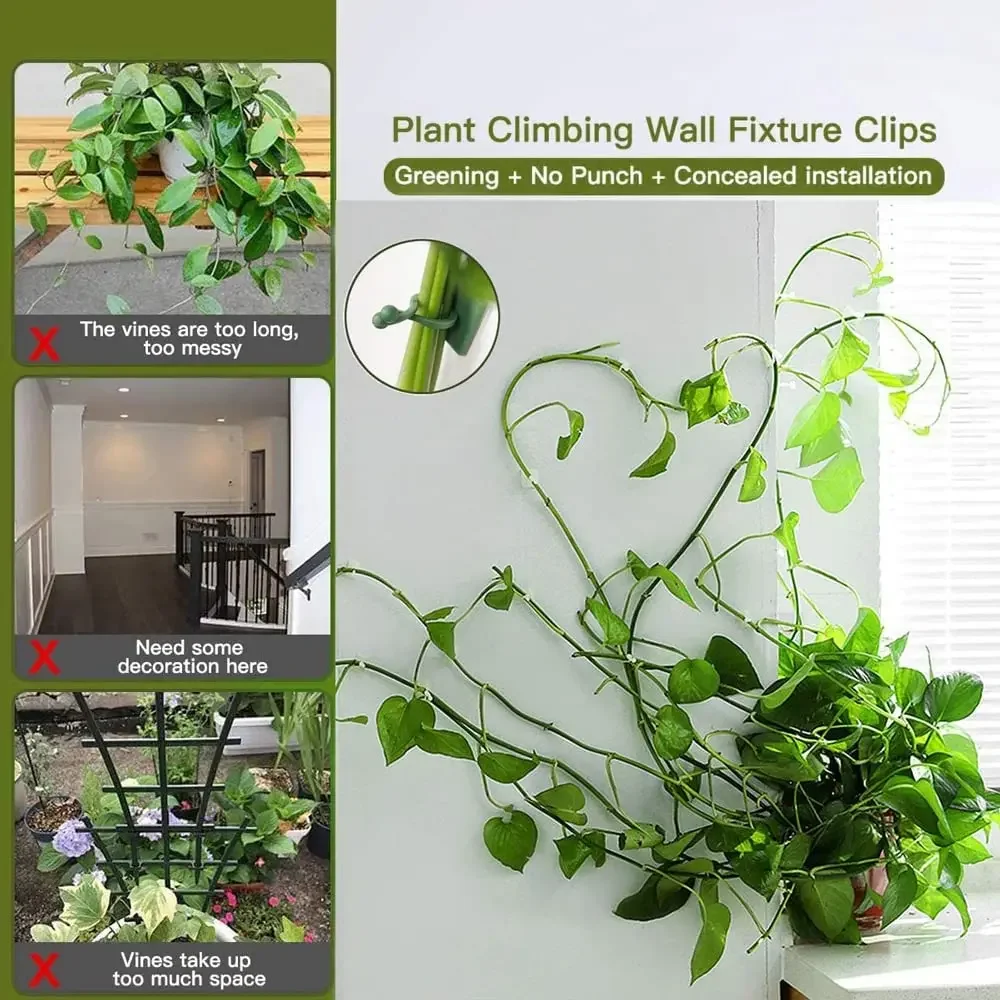 1/30/50Pcs For Garden Accsesor - Outdoor Lighting Manufacturers のレビューと価格